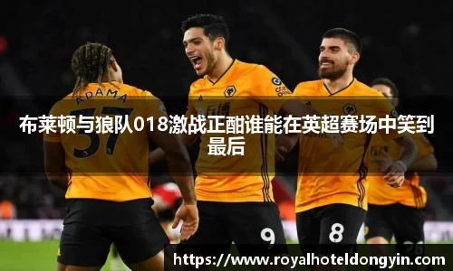 布莱顿与狼队018激战正酣谁能在英超赛场中笑到最后